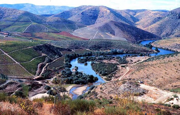 Fiume del Côa