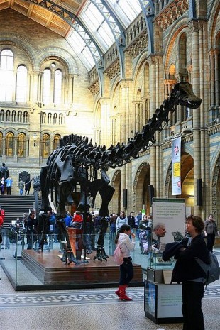 Natural history museum