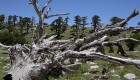 Parco Nazionale del Pollino