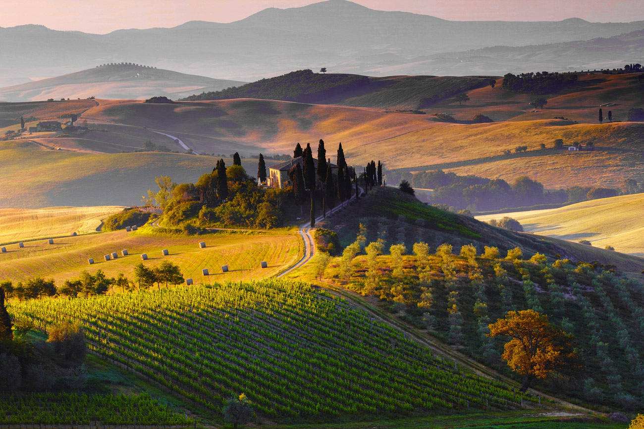 colline del chianti