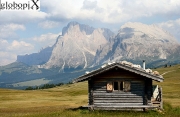 Dolomiti