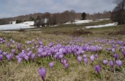 Parco Nazionale della Sila