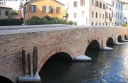 Treviso