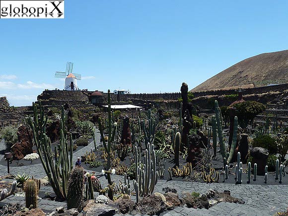 Jardin de Cactus