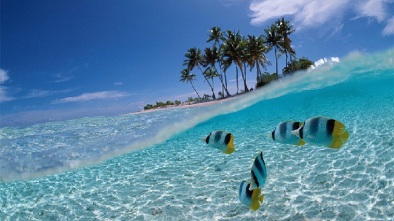 Dove Andare In Viaggio Di Nozze Viaggi E Vacanze