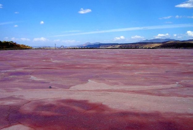 lago magadi