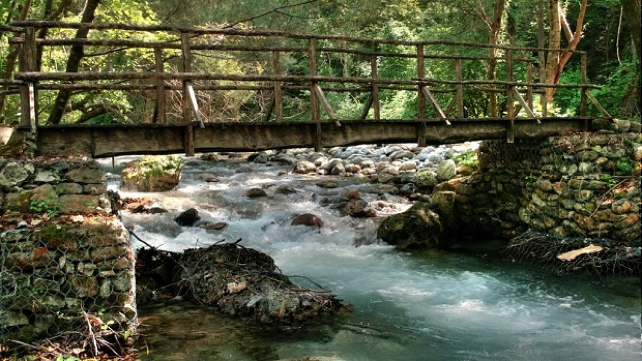 parco nazionale del pollino flora e fauna  parco nazionale del pollino cosa vedere  parco nazionale del pollino hotel  pollino  parco del pollino  monte pollino  parco nazionale  parco pollino  parco del pollino cosa vedere  parco nazionale pollino  pollino basilicata