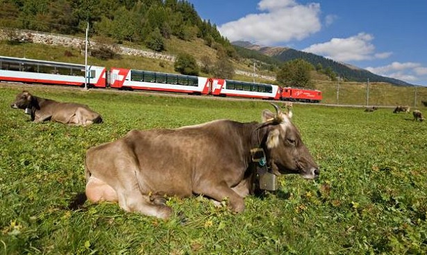 viaggiare in svizzera 