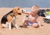 spiaggia per cani a Bibione e Lignano