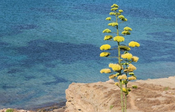 pasqua in sicilia