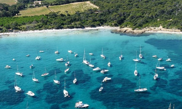 Isola di Porquerolles