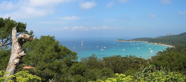 Isola di Porquerolles