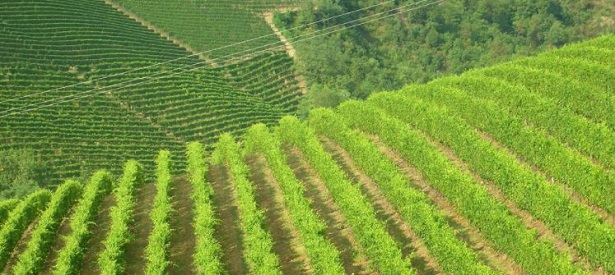 Langhe in agriturismo