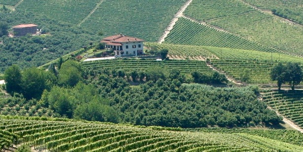 Langhe in agriturismo