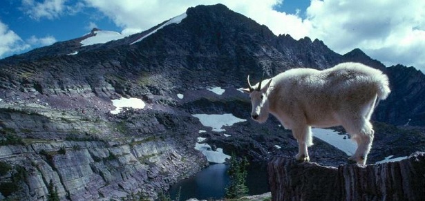 Glacier National Park