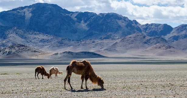 Viaggio in Mongolia