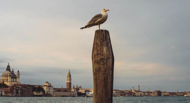 Isole di Venezia