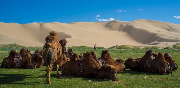 Deserto dei Gobi