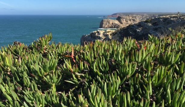 sagres portogallo