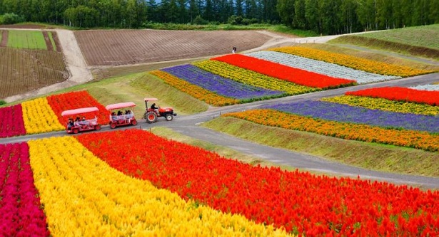 Hokkaido, Giappone: luoghi di interesse