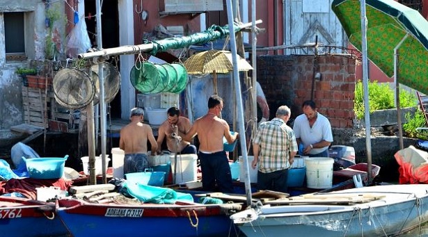 Chioggia: cosa mangiare 