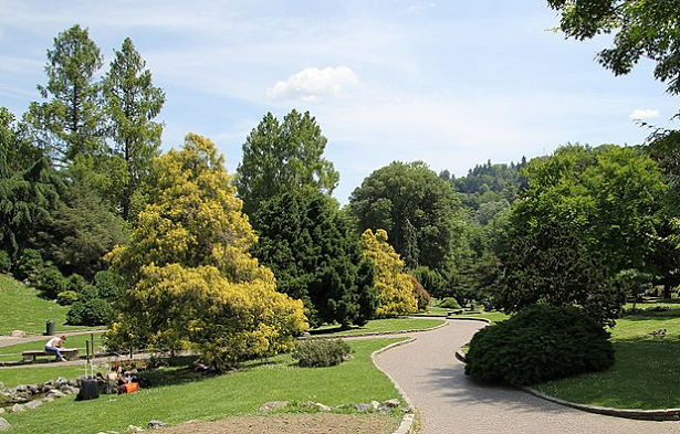 I parchi più grandi di Torino