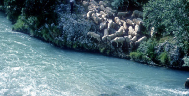 Terme di Contursi