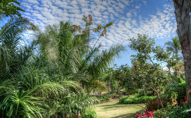 Giardino Botanico di Napoli