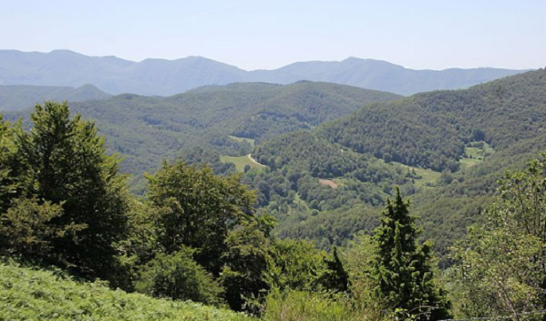 Cosa vedere nelle Foreste Casentinesi