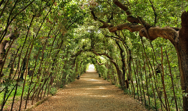 Giardino di Boboli galleria