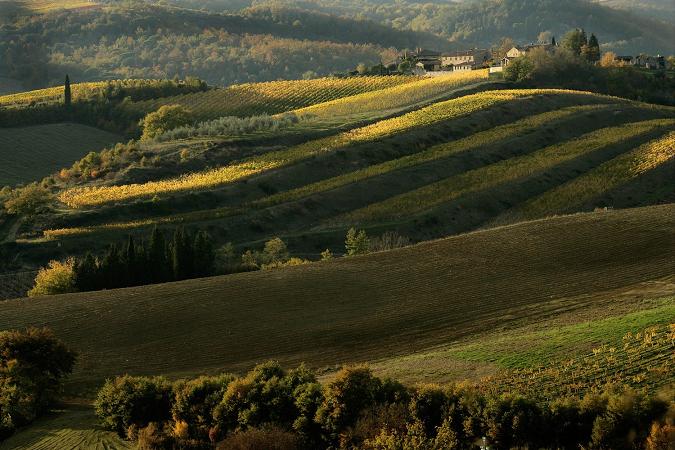 colline del chianti