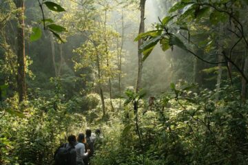 Escursione nella foresta amazzonica durante la stagione secca