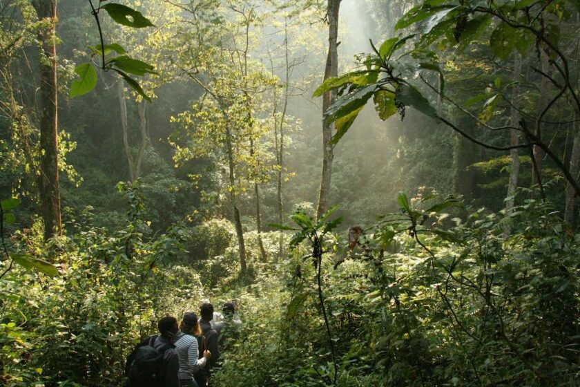 Escursione nella foresta amazzonica durante la stagione secca