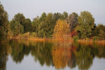 Parco dei Renai vicino Firenze, area con acqua dolce tra le alternative ai fiumi balneabili Firenze