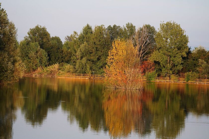 Parco dei Renai vicino Firenze, area con acqua dolce tra le alternative ai fiumi balneabili Firenze