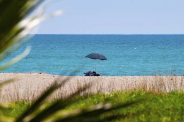 Spiaggia sabbiosa di Policoro con mare limpido e pineta