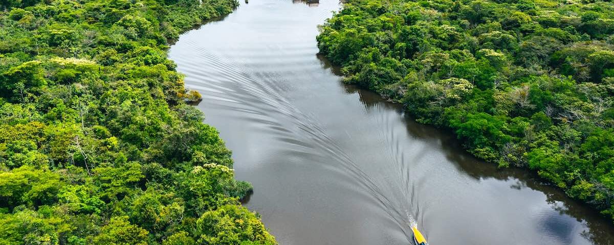 Foresta amazzonica peruviana con fiume e vegetazione tropicale