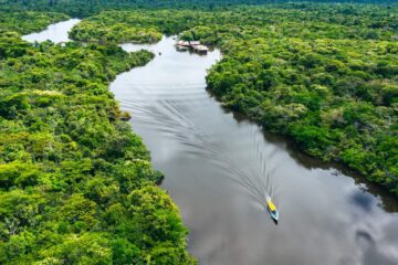Foresta amazzonica peruviana con fiume e vegetazione tropicale
