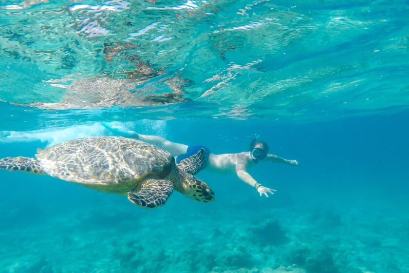 Persona pratica snorkeling vicino a una tartaruga marina a Gili Trawangan