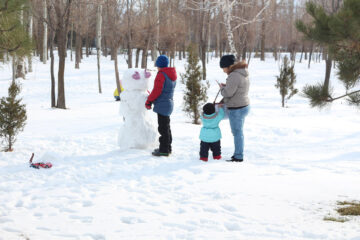 pupazzo di neve